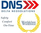 Delta NeoSolutions Inc. (DNS)